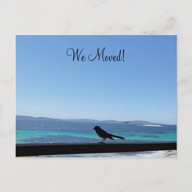 Cambio de detalles pequeña postal de pájaro (Anverso)