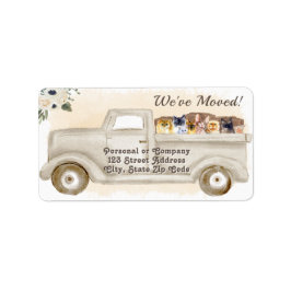 Cambio de dirección, gatos, etiqueta de dirección 