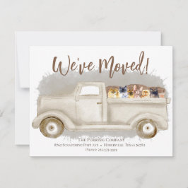 Cambio De Dirección, Gatos, Invitación De Camión E