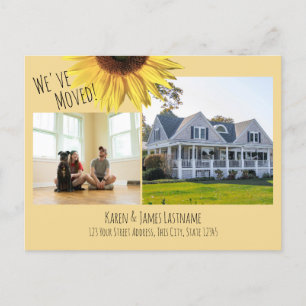 Cambio de dirección Girasol con anuncio de fotos