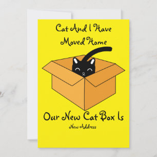Cambio De Gato De Tarjeta De Dirección Trasladándo