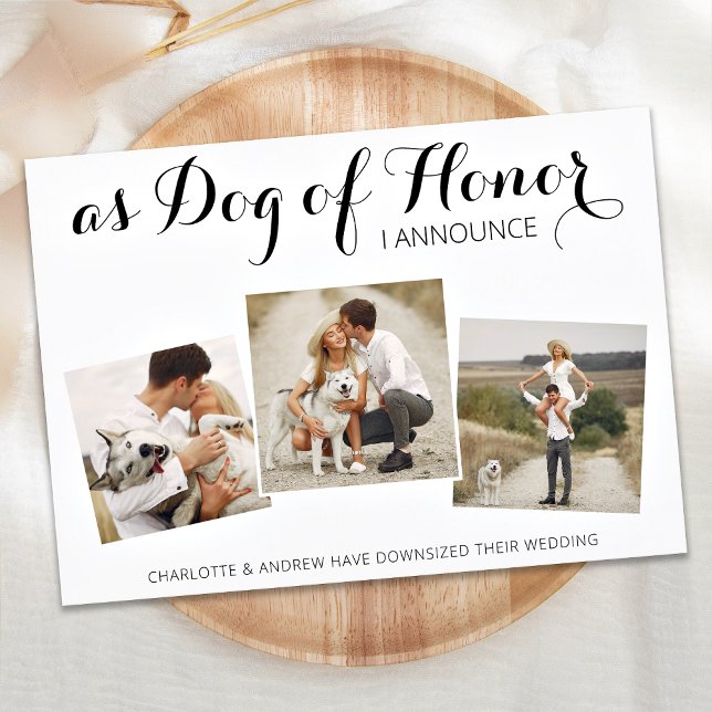 Cambio De Honor De Perro De Planes Invitación Boda (Subido por el creador)