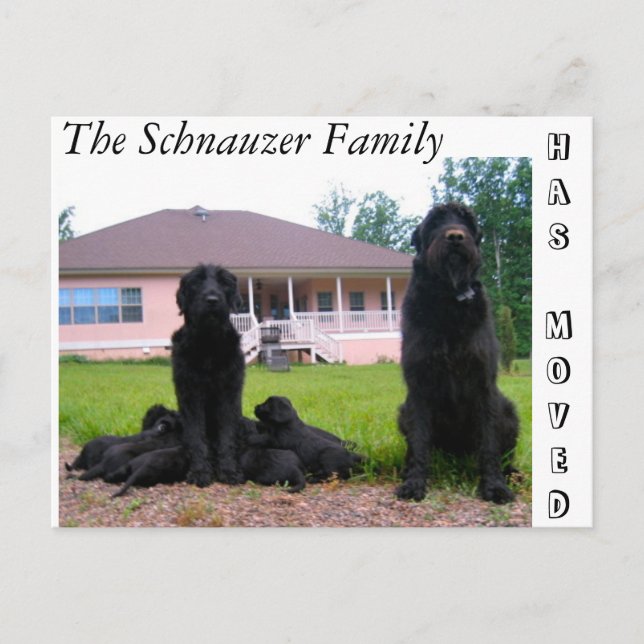 Cambio de la postal de la dirección (Anverso)