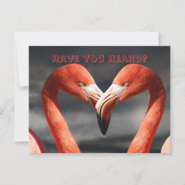 CAMBIO DE LA TARJETA DE DIRECCIÓN DE FLAMINGO