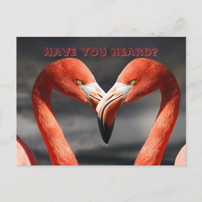 CAMBIO DE LA TARJETA DE DIRECCIÓN DE FLAMINGO (Anverso)