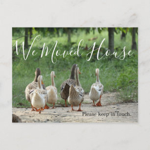 Cambio de la tarjeta postal del Personalizado de f