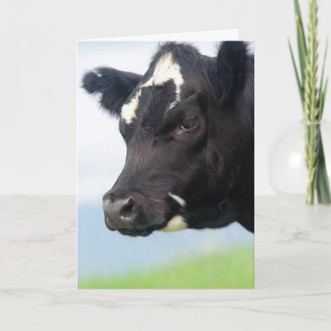 Cambio de la vaca de tarjeta de la dirección (Anverso)