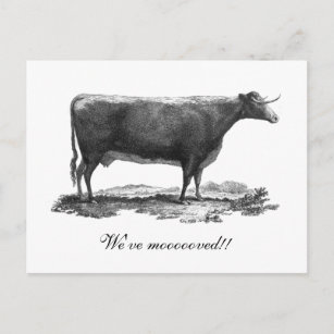 Cambio de la vaca del vintage de tarjeta de la