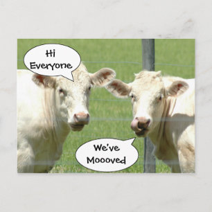 Cambio de las vacas que habla de postal de la