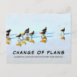 Cambio de planes de Sandpipers en la postal de la 