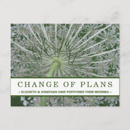 Cambio de planes tarjeta postal de la flor de enca