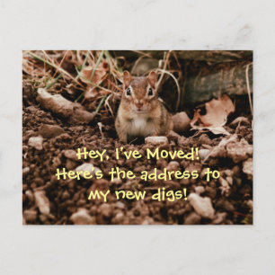 Cambio de postal del Chipmunk de la dirección