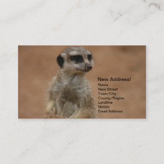 Cambio de tarjetas de la dirección - Meerkats