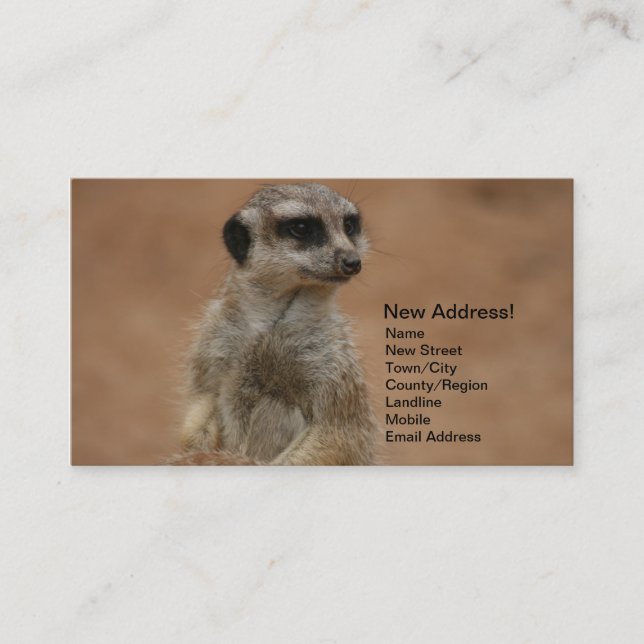 Cambio de tarjetas de la dirección - Meerkats (Anverso)