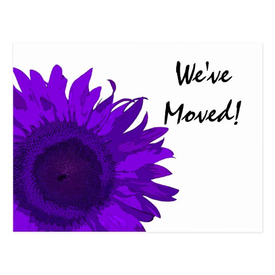 Cambio púrpura del girasol de dirección postal