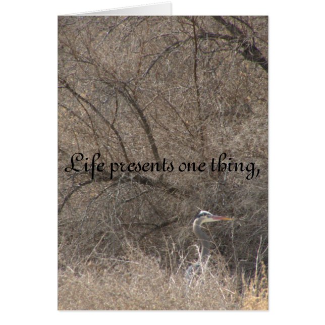 Cambios de la vida (Frente)