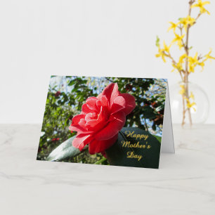 Camelia Roja Radiante - Día de la Madre Personaliz