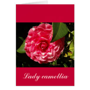 camelia rosa