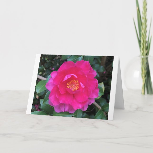 Camelia, tarjeta (Anverso)
