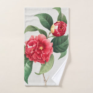 Camelia Variegada, Pierre-Joseph Redouté, 1833