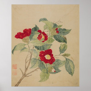 Camelias de Ma Yuanyu Impresión de Póster