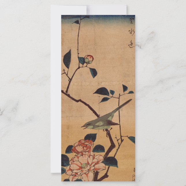 Camellia Oriental y Warbler (Anverso)