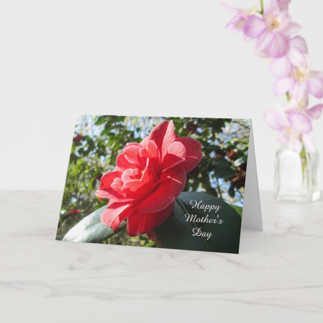 Camellia Roja Radiante - Tarjeta del Día de la Mad (Orquídea)