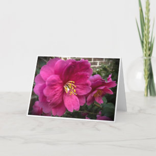 Camellia, tarjeta
