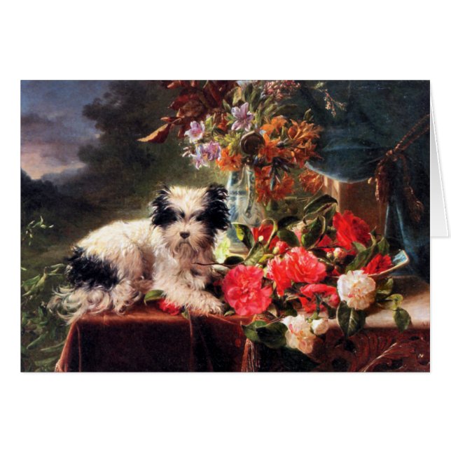 Camellias y un Terrier (Anverso (Horizontal))