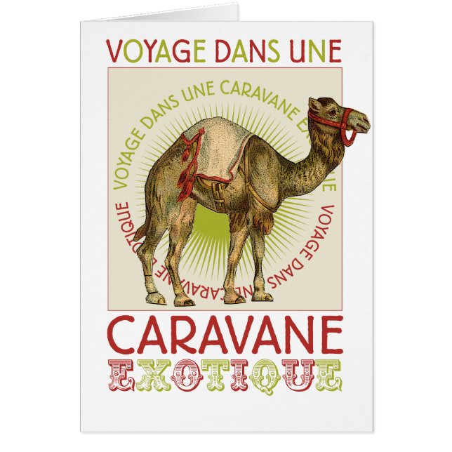 Camello de la Caravana (Frente)