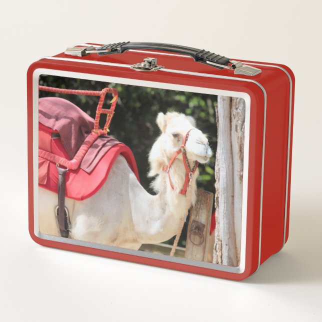 Camello de marfil (Anverso)