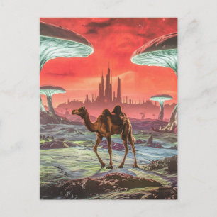 Camello en otra postal planetaria