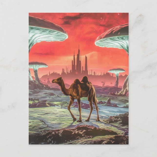 Camello en otra postal planetaria (Anverso)