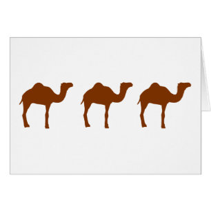 Camellos