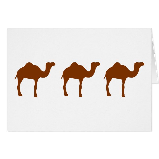Camellos (Anverso (Horizontal))