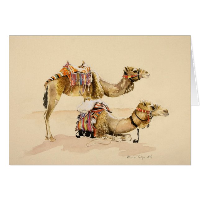 Camellos de Petra 2007 (Anverso (Horizontal))