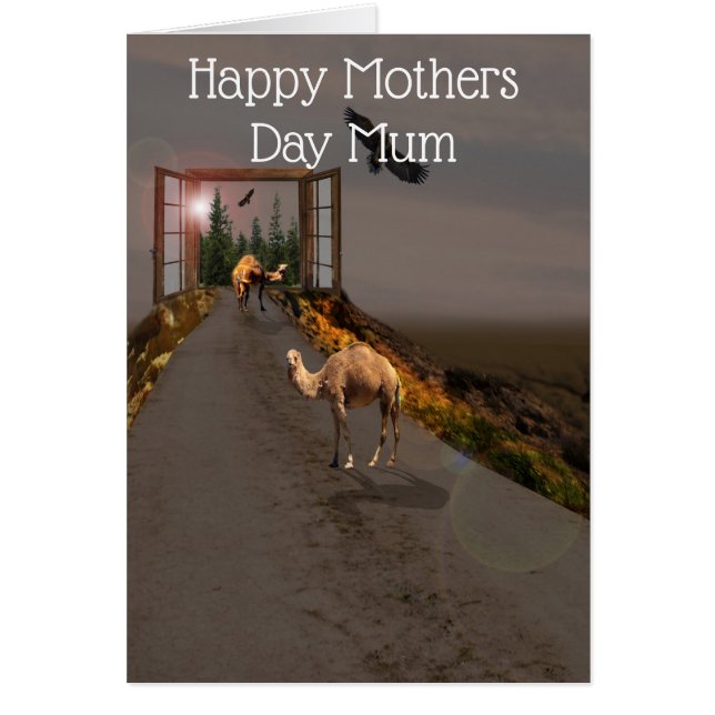 Camellos En El Camino Hacia El País De Las Maravil (Frente)