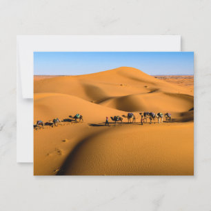 camellos en el desierto bajo cielo azul