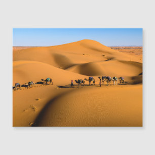 camellos en el desierto bajo cielo azul