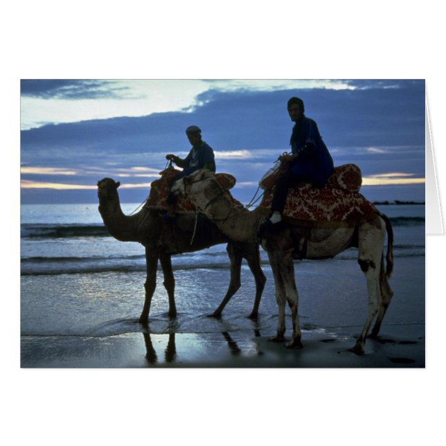 Camellos, Marruecos (Anverso (Horizontal))