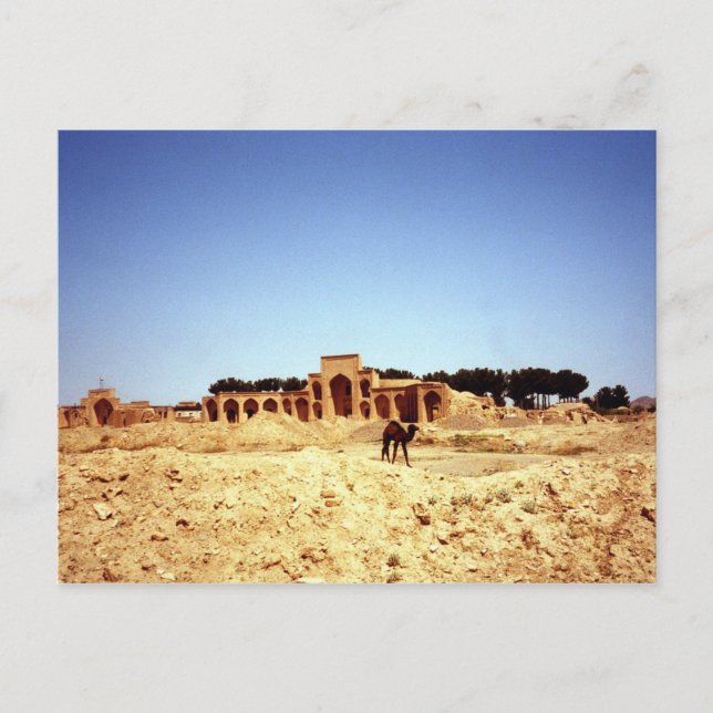 Camellos postales en la antigua ruta de la seda Kh (Anverso)