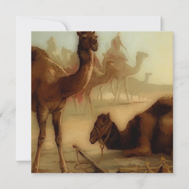 Camellos vintage en el desierto (Anverso)