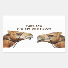 Camels Kissing Funny Pegatina