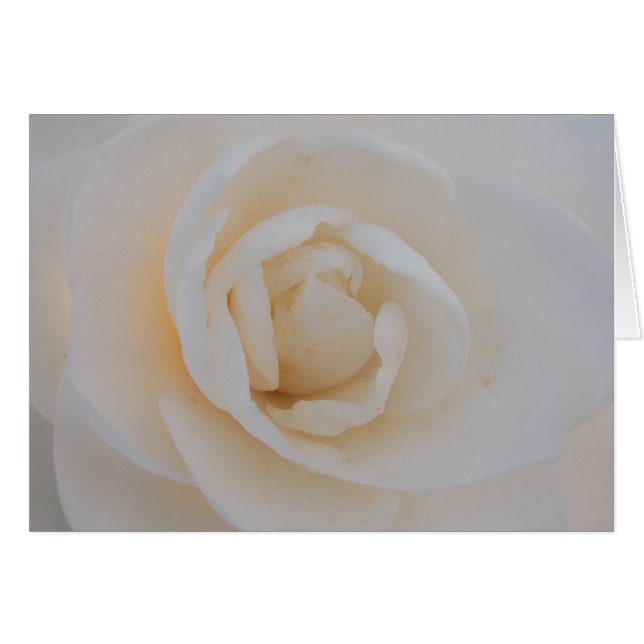 Camilla Bliss (Anverso (Horizontal))