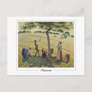 Camille Pissarro #214-2 - Tarjeta postal de arte f