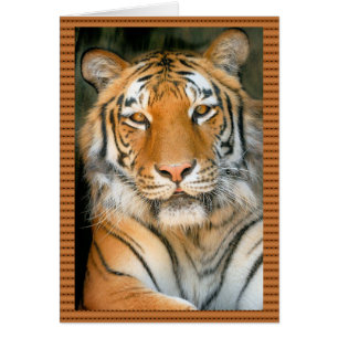 Camina por el lado salvaje - Tigre
