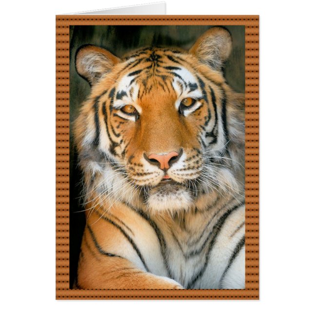Camina por el lado salvaje - Tigre (Frente)