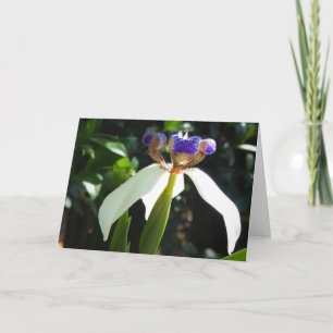 "Caminando Iris 2." Tarjeta mediana