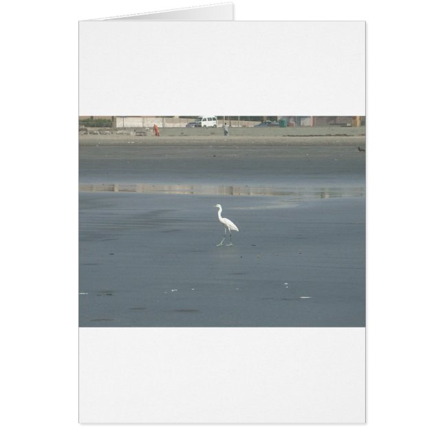 Caminando solo.JPG (Frente)