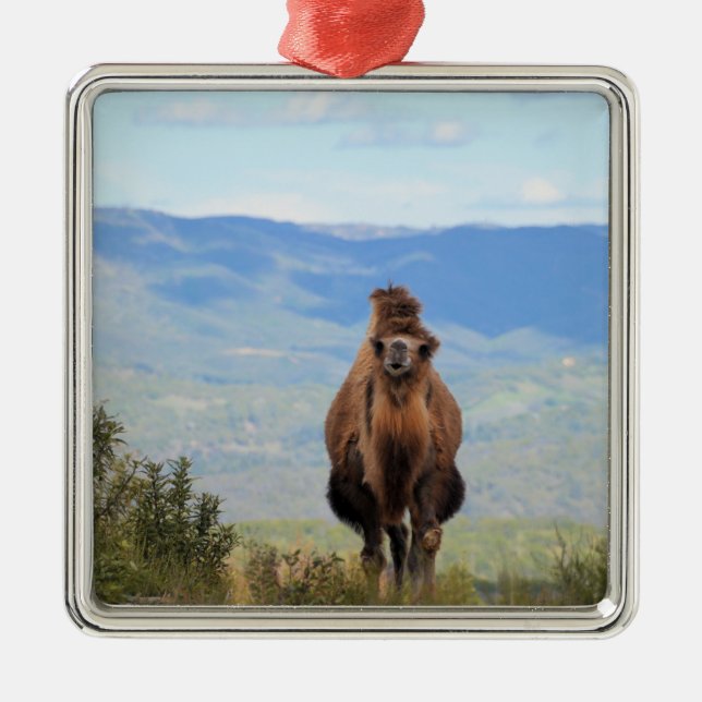 Caminar con el ornamento cerámico de muffin (Frente)